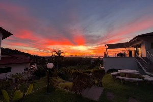 Asava Rawai Sea View 1850874145355872